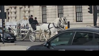 White horses and fancy carriage #horseguardsparade