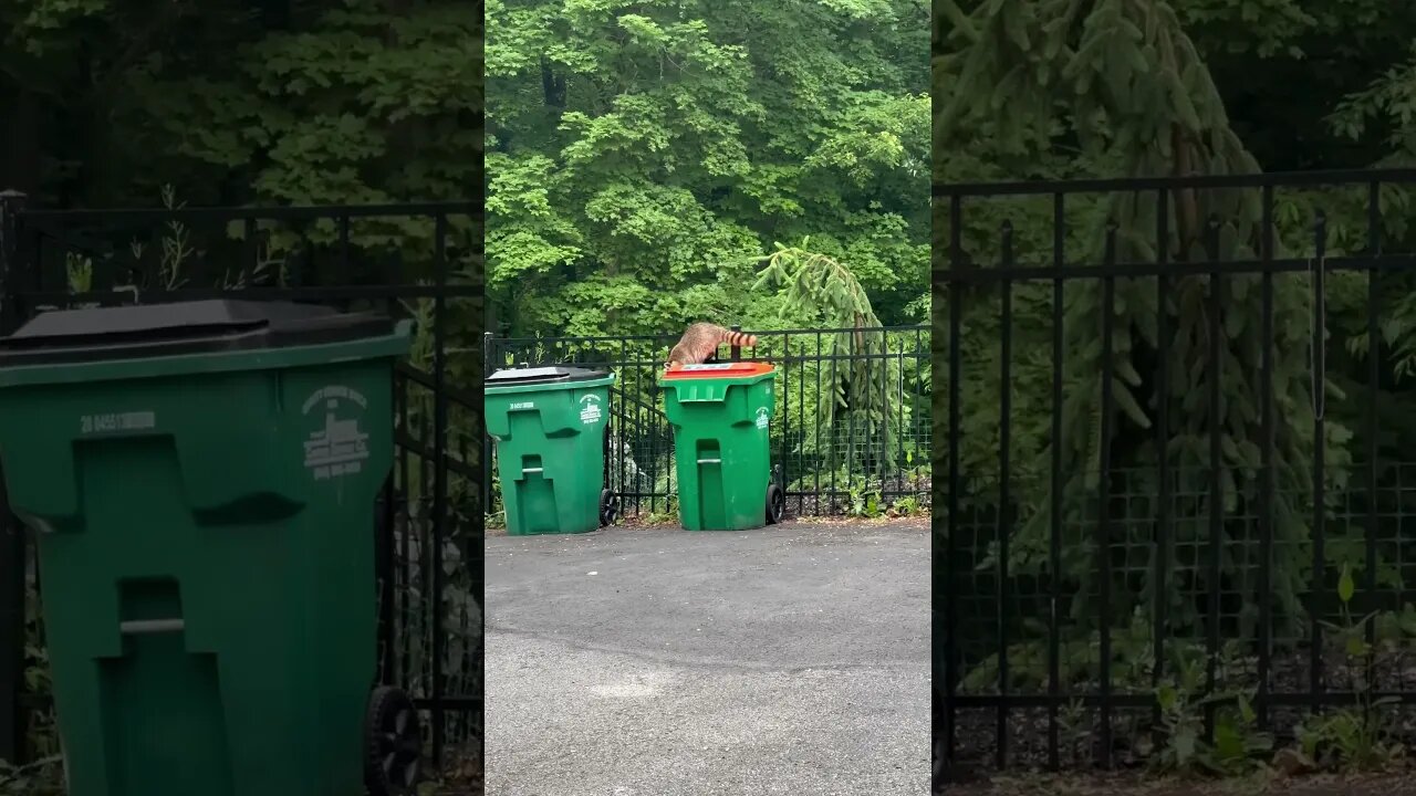 I GOT A NEW DOG #shorts