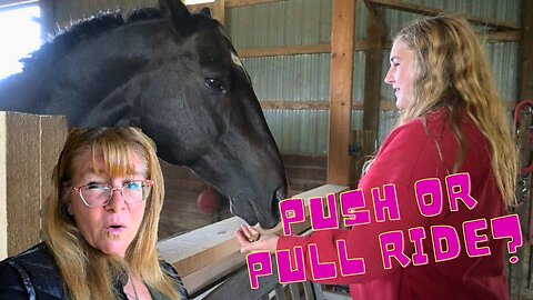 Buying Our First Non Beginner Safe Horse