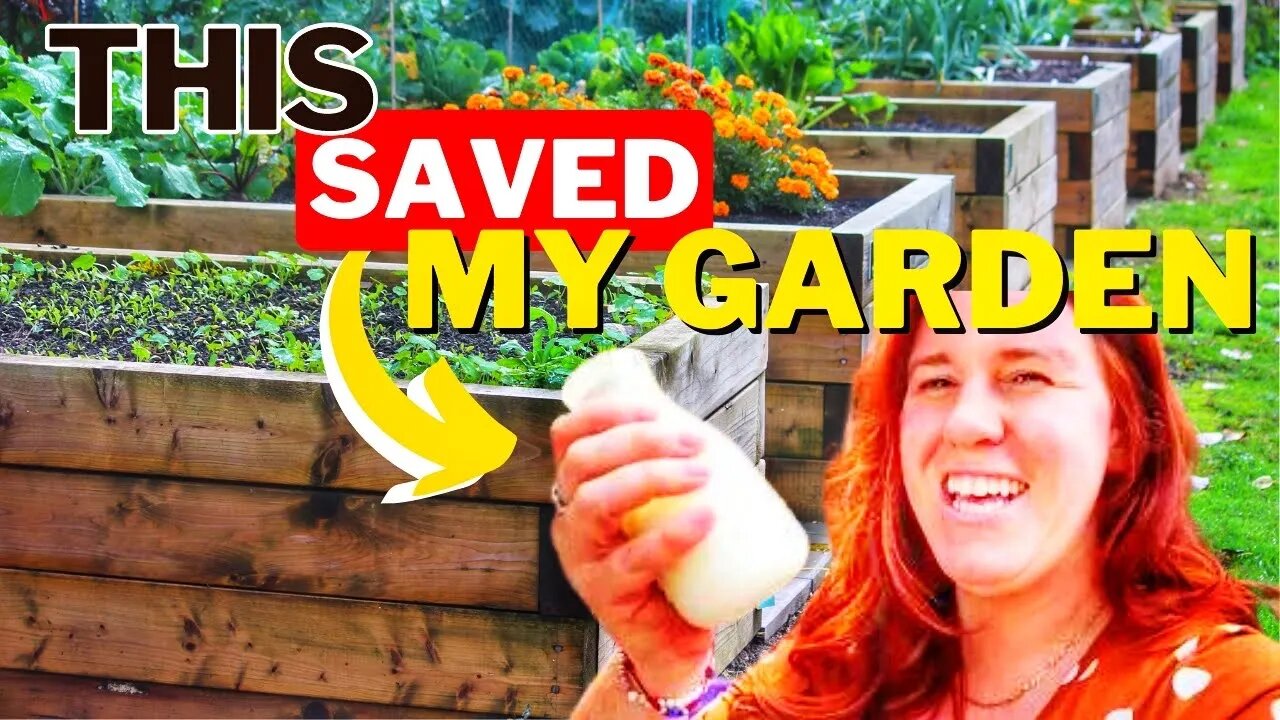 Mid August Zone 3 Garden Tour. Cold Climates Seriously Produce!