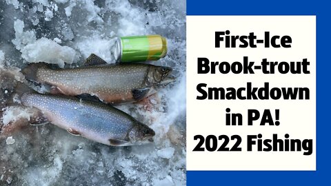 Ice fishing BIG BROOK TROUT and perch! First-ice 2022 fishing!