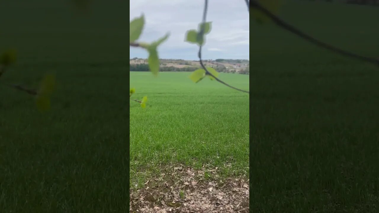Spring in Canada