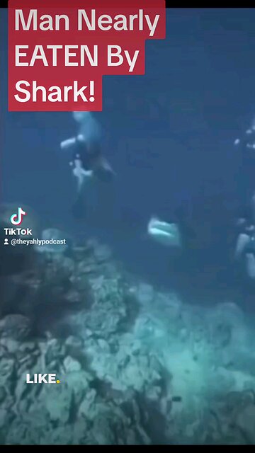 Nearly eaten by a shark