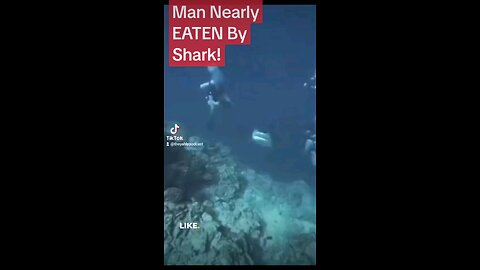 Nearly eaten by a shark