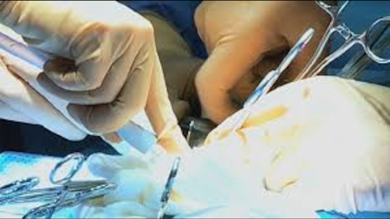 9年来重要证据 解密中共活摘血腥链