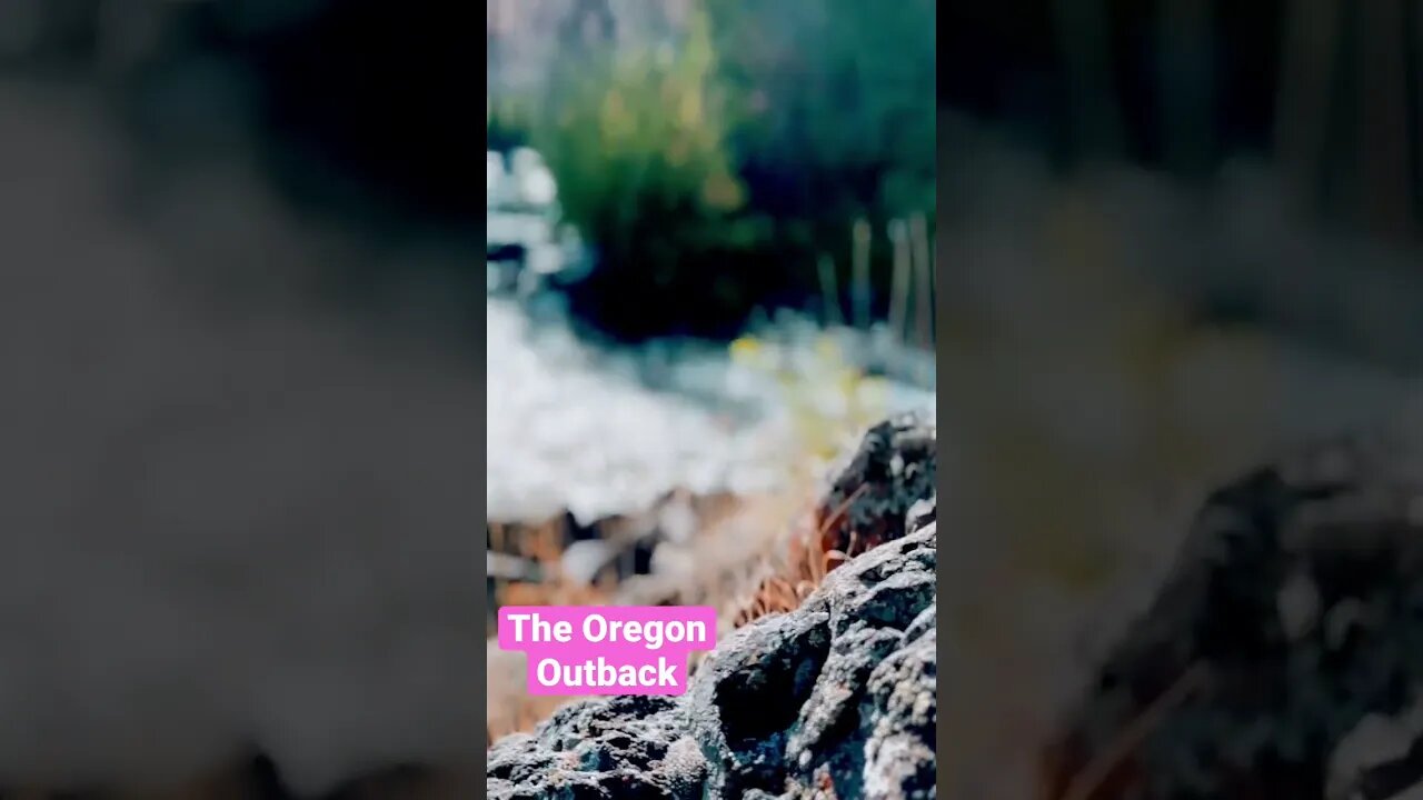 The Oregon Outback.