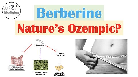 Berberine (Nature’s Ozempic?) | Weight Loss & Metabolism Findings, Mechanism of Action, Side Effects
