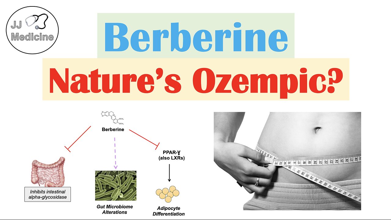 Berberine (Nature’s Ozempic?) | Weight Loss & Metabolism Findings, Mechanism of Action, Side Effects