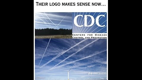 Chemtrails: The Video That Got A Former FBI Director Killed 🩸 💀 🩸