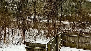 Cemetery after a little snow behind my place