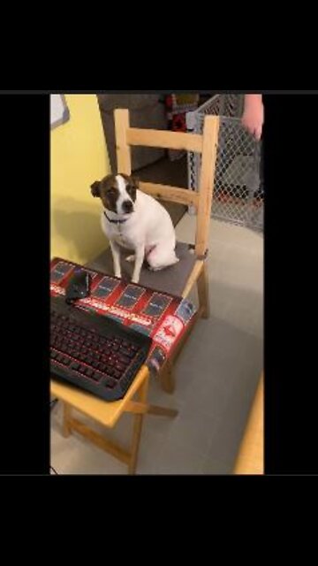 Princess PC Gaming Pro