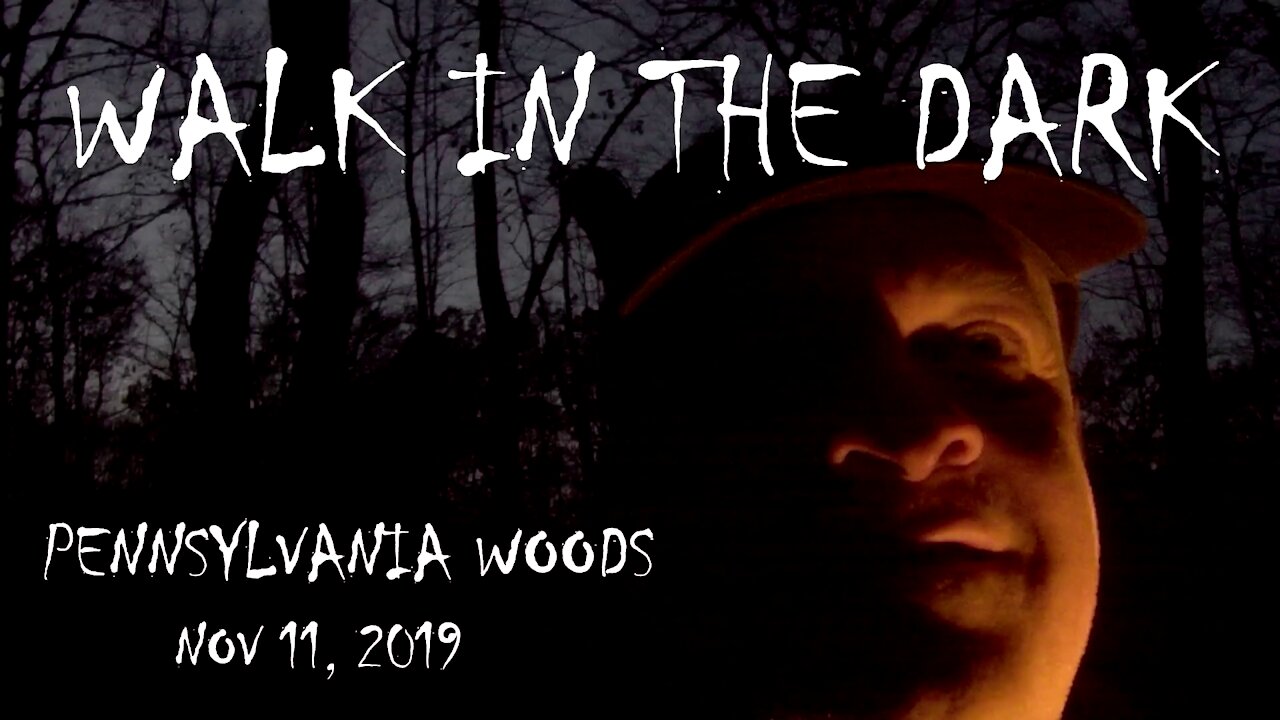 Walk in the Dark - Pennsylvania Woods - 11/11/2019