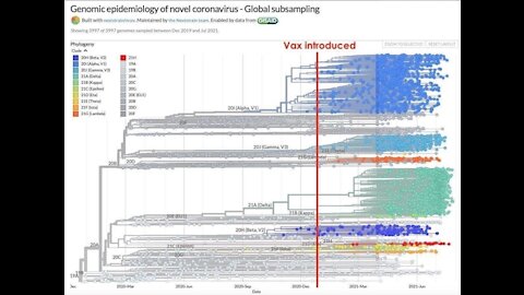 Leaked DOD-stamped document confirms multiple lies about of vaxxed deaths and hospitalizations