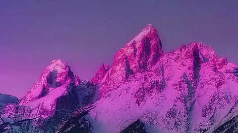 Vibrant Vistas Colors of the Natural World
