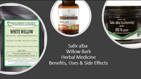 Salix alba - Herbal Medicine - Willow - Benefits, Uses & Side Effects
