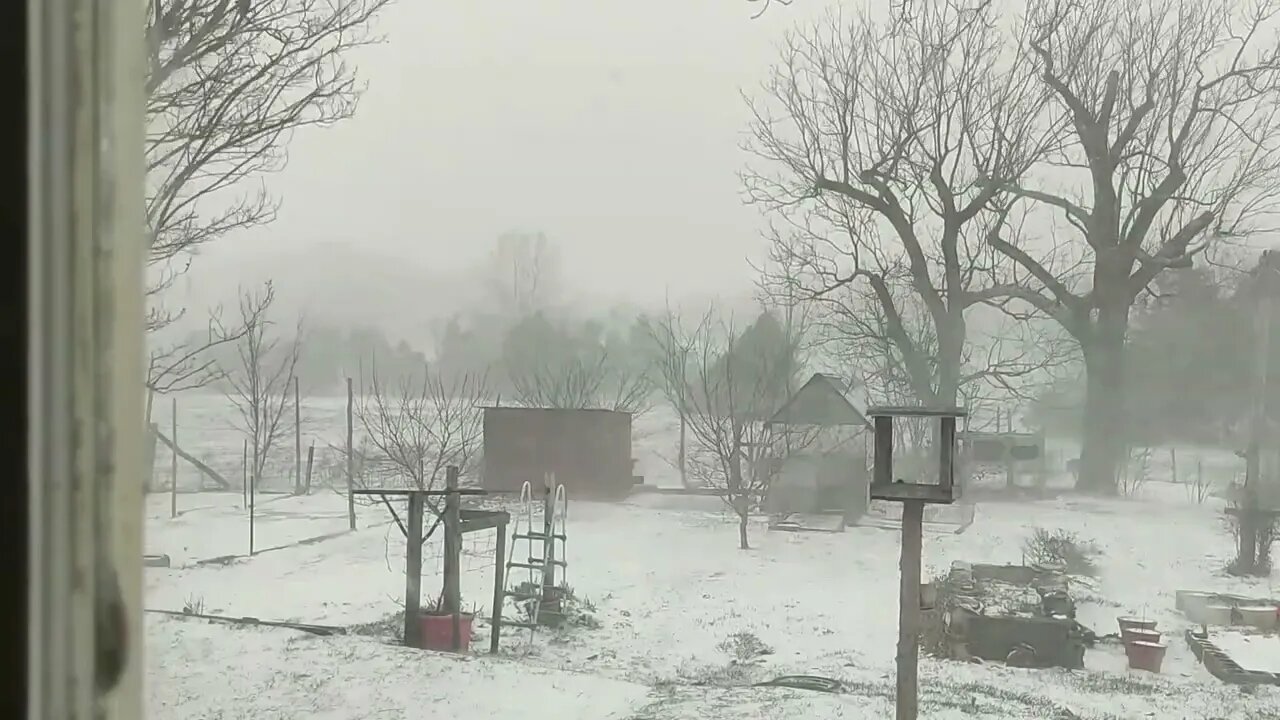 WinterStorm 2022 TimeLapse