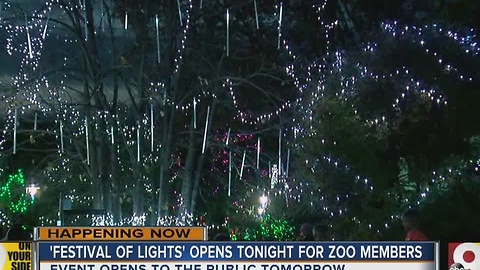 Festival of Lights opens at Cincinnati Zoo