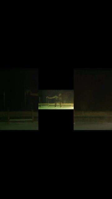 David laid aesthetics.