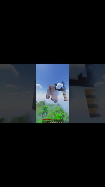 This is what 100 hours of Minecraft looks like