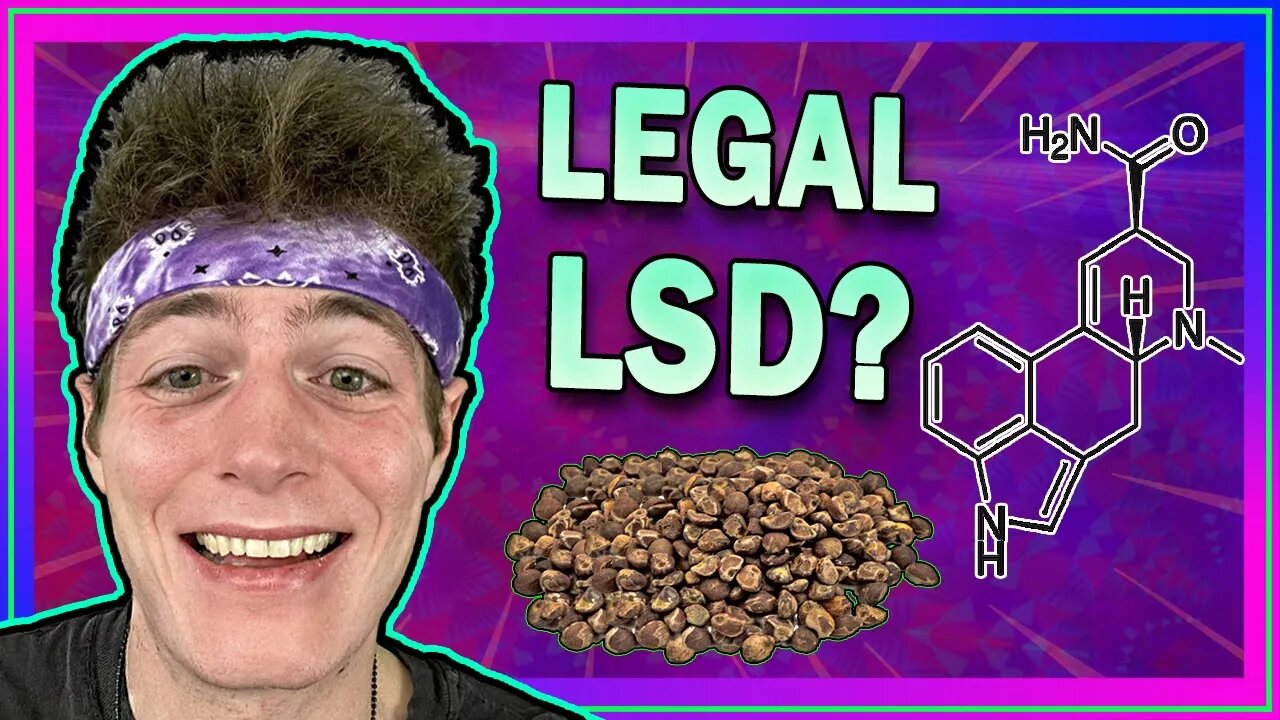𝗟𝗦𝗔 – The Legal LSD Substitute || Hawaiian Baby Woodrose / Morning Glory Seeds (𝘌𝘳𝘨𝘪𝘯𝘦)
