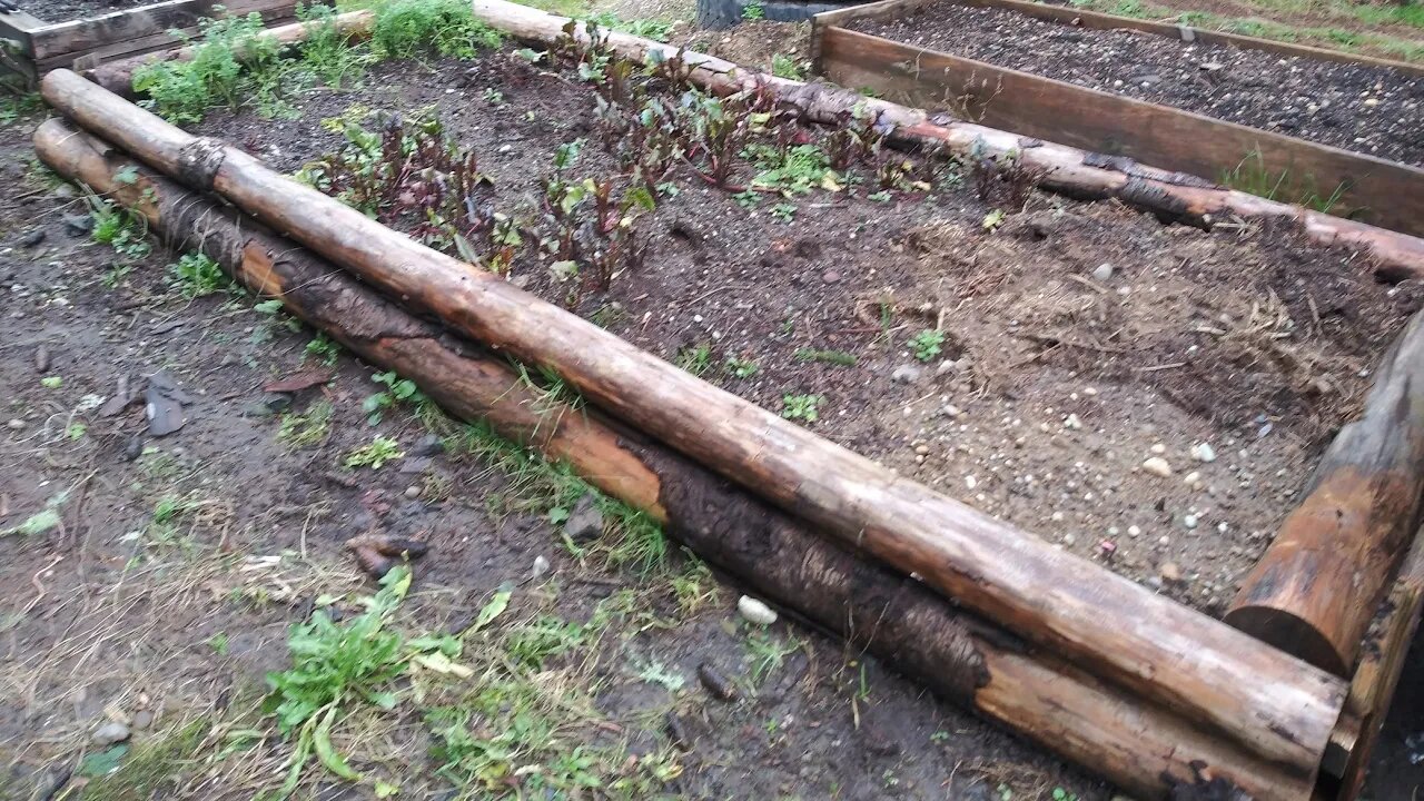 POD 3/9/21 Free Prep To Help Grow More Food For SHTF!