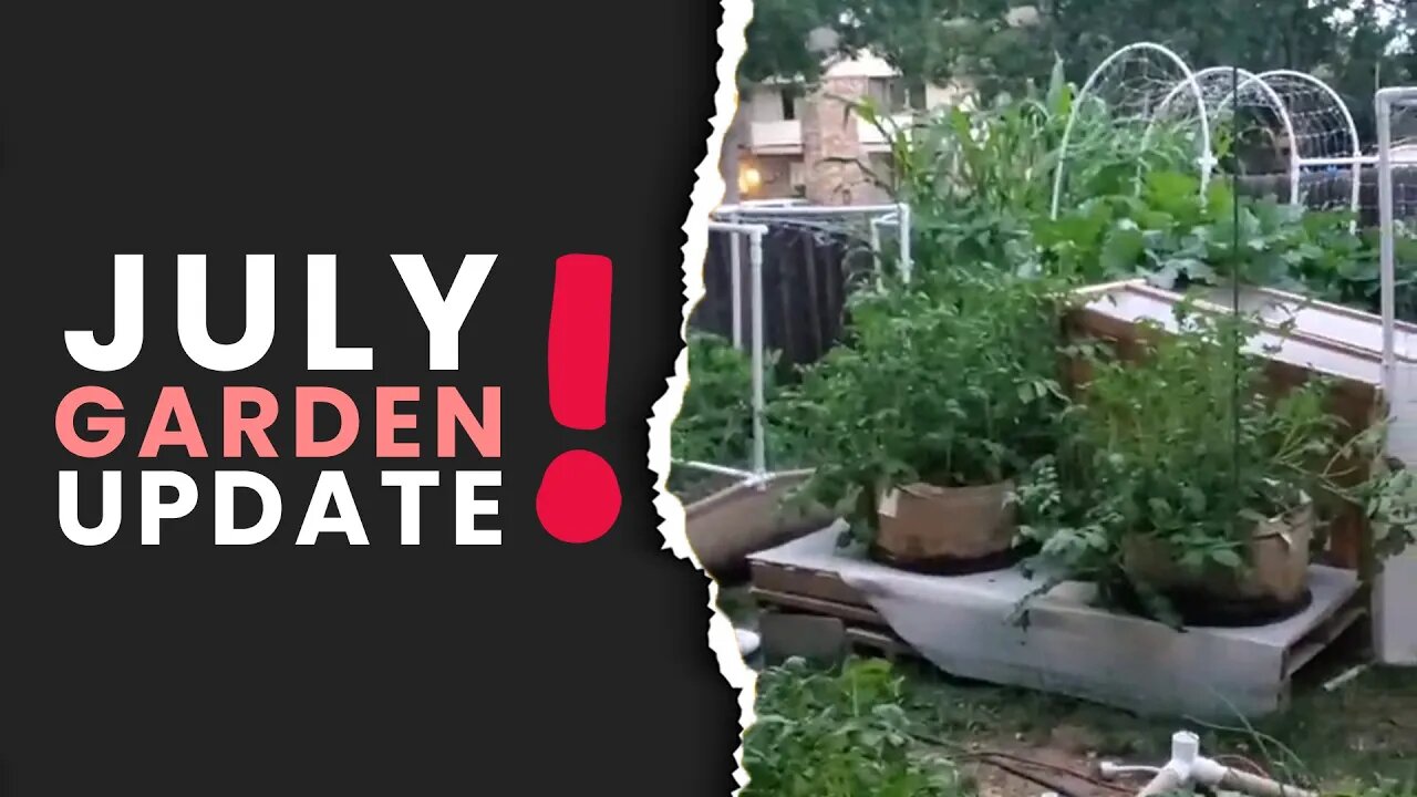 July Update: Personal Backyard Garden 2023