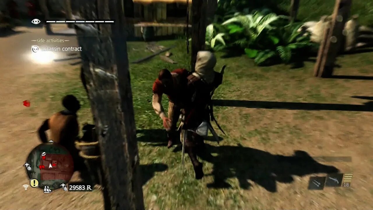 The Plantation Master (Assassin's Creed IV: Black Flag)