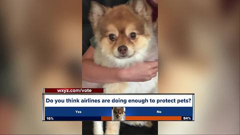 Dog found dead on Delta flight stopped in Detroit, family wants answers