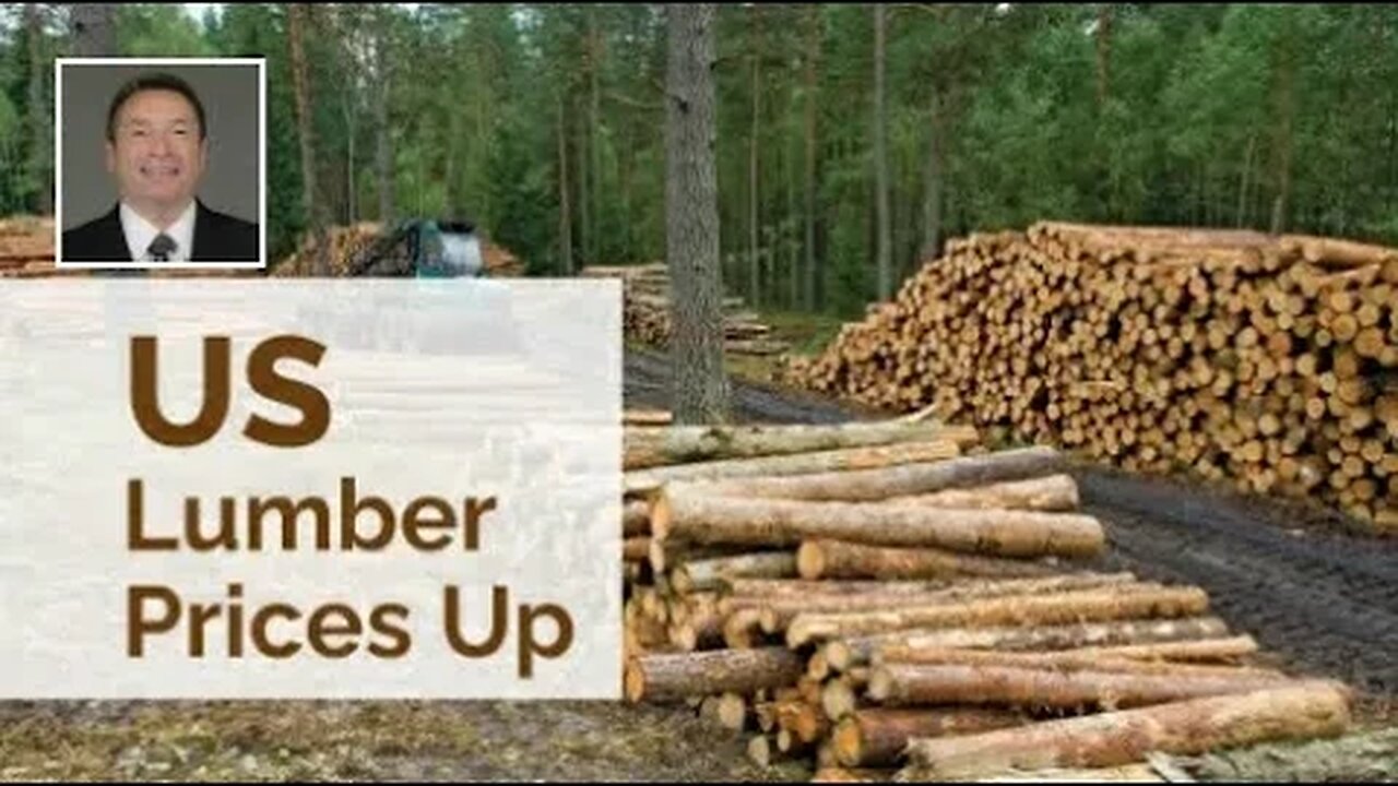 Lumber Soars 13% As Housing Market Shows Signs Of Life