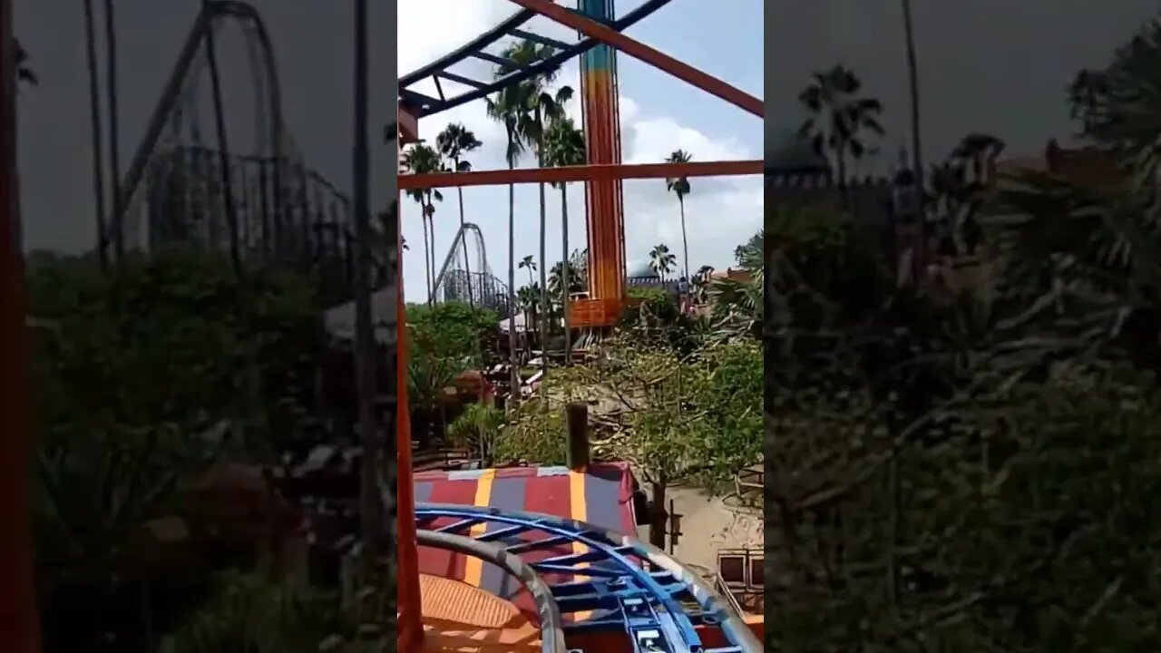 Goodbye Sand Serpent at Busch Gardens Tampa Bay #shorts