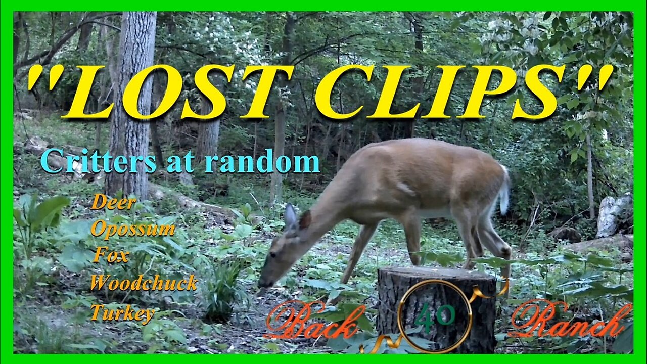 Lost clips, FOUND!