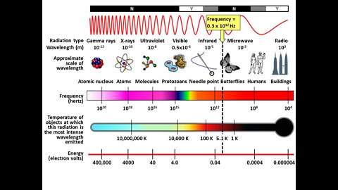 Dr. Lee Merritt : We Are Wavelength / Disease Is Wavelength