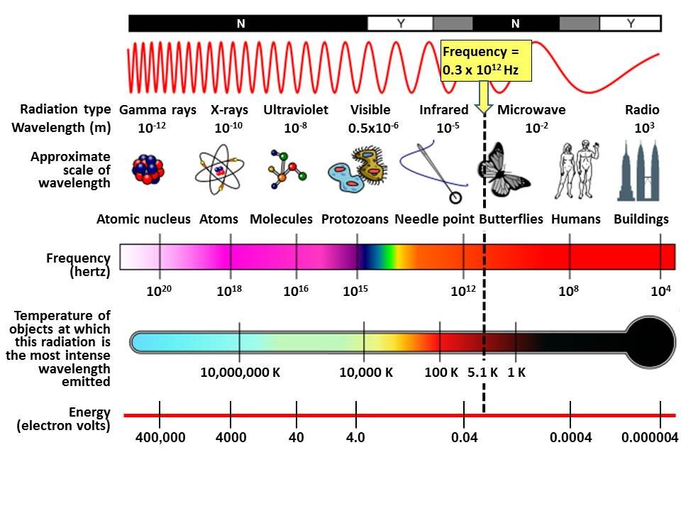 Dr. Lee Merritt : We Are Wavelength / Disease Is Wavelength