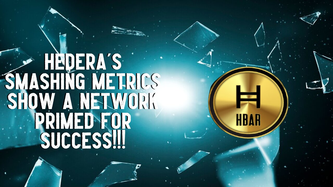 Hedera's SMASHING METRICS Show A Network PRIMED FOR SUCCESS!!!