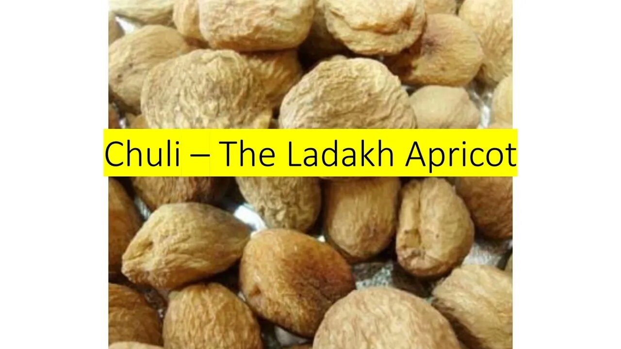 Chuli – The Ladakh Apricot