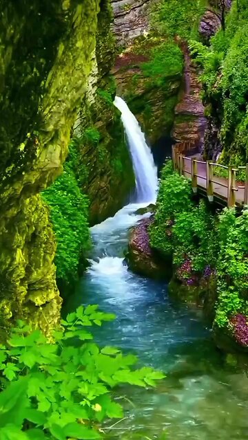 "Mesmerizing Nature Scenes in the USA: A Short Escape to Serenity"