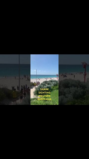 SHARK ALARM WESTERN AUSTRALIA | Get in the Water #shark #alarm #babyshark