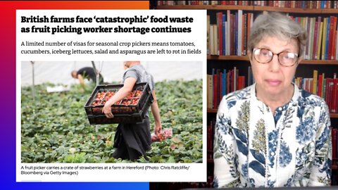 Rotting Farm Produce, Brexit, and The British Unemployed