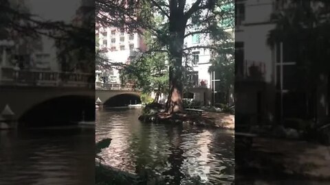 San Antonio, Texas: river walk, WoW !