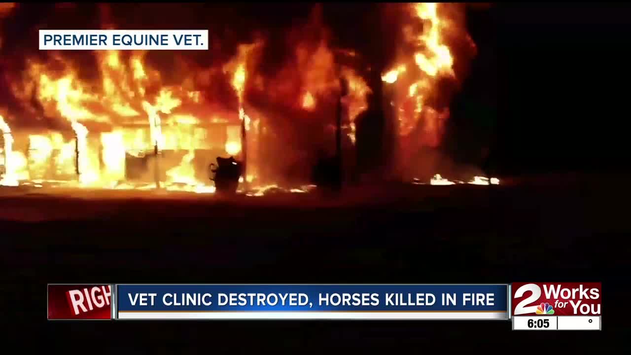 Vet clinic destroyed, horses killed in fire