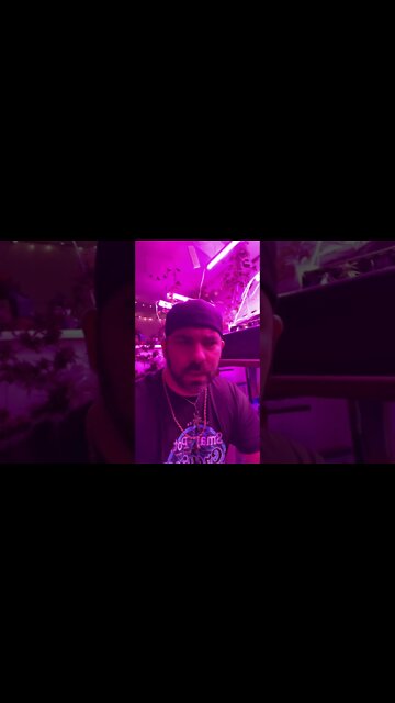 Wanna be farmer lectured us on farming 🤦🏻‍♂️