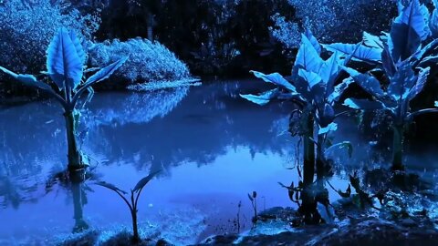 Relaxing Piano Music for Sleep 10 Minutes #SleepMusic #Piano