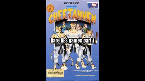 Rare nes games part 1 Cheetahmen 2