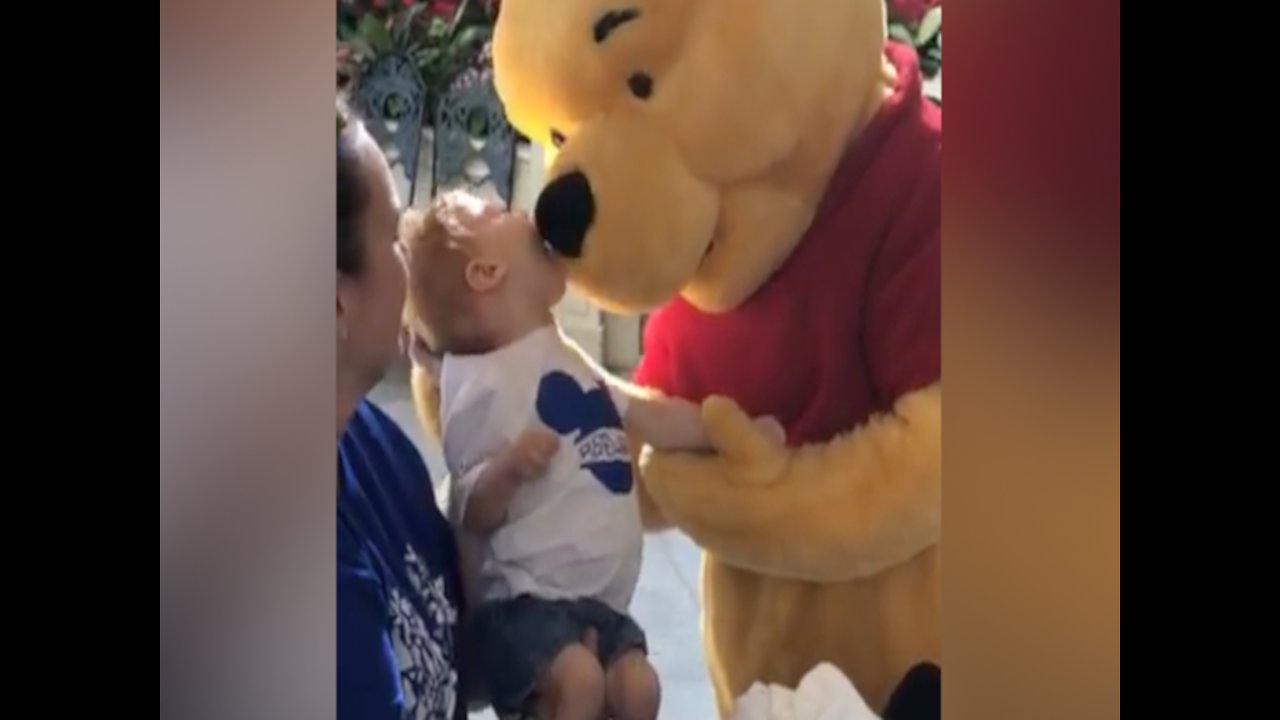 WARM YOUR HEART! Winnie the Pooh shares special moment with disabled child at Walt Disney World - ABC15 Digital