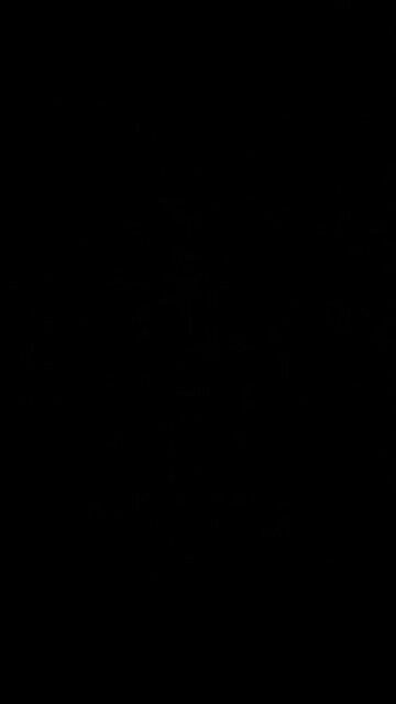 Marxist government controlled market