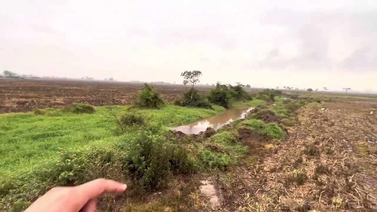 LIMPANDO CÓRREGO MUITO SUJO 🌊 Escavadeira hidráulica op iago-4