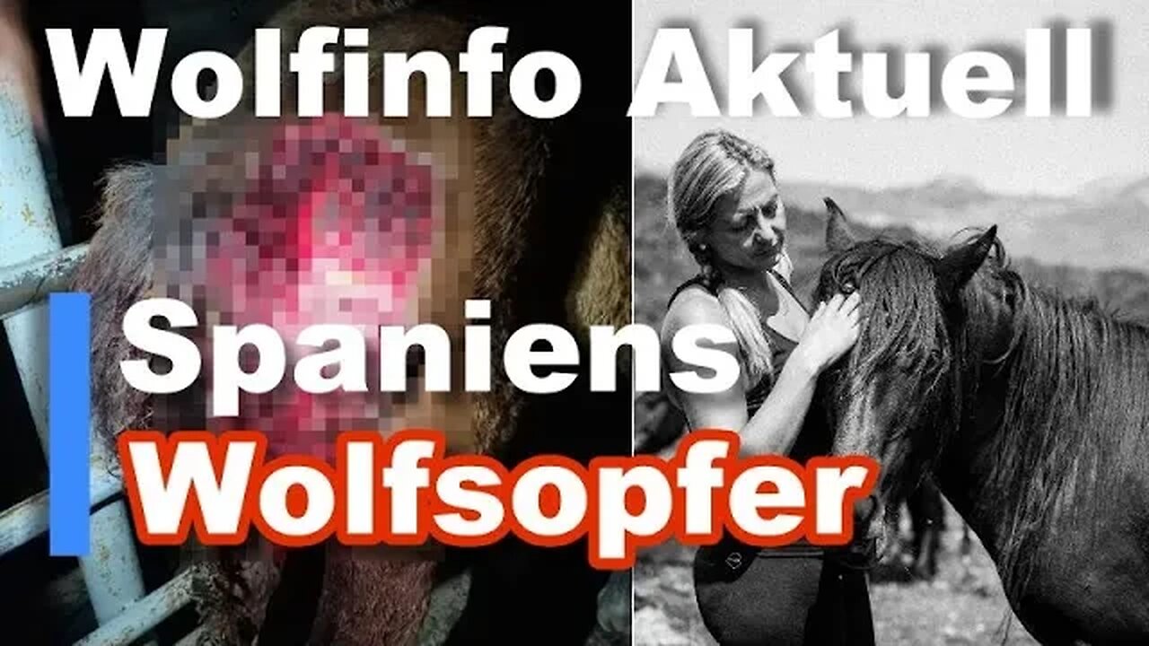 Wolfinfo Aktuell 108 ( Spaniens Wolfsopfer: Pferde )