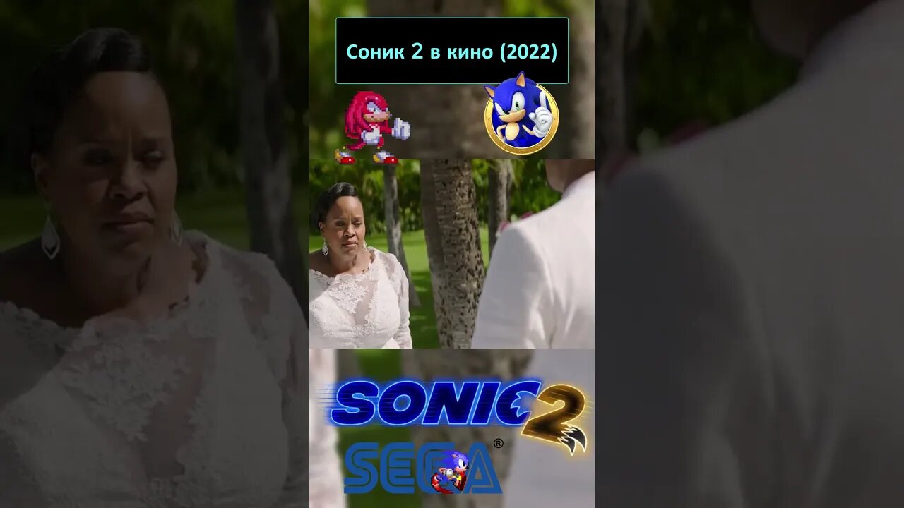 Зря Вы отказались со мной позавтракать Мистер и Миссис Ваковски 💍🦔 #shorts #sonic #sonic2 #sega 0068