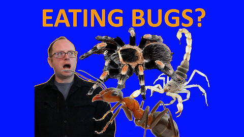 EATING BUGS? - EPG EP 13