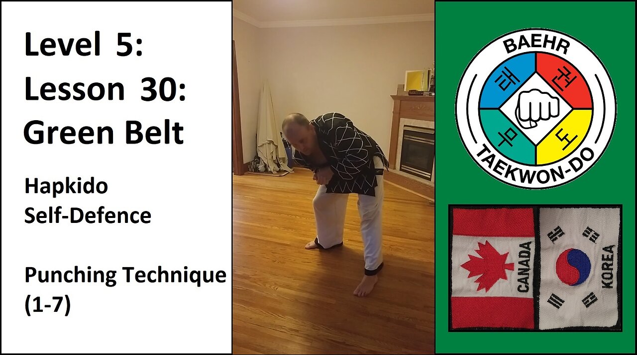 Baehr Taekwondo: 05-30: Green Belt - Self-Defence - Punching Technique (1-7)